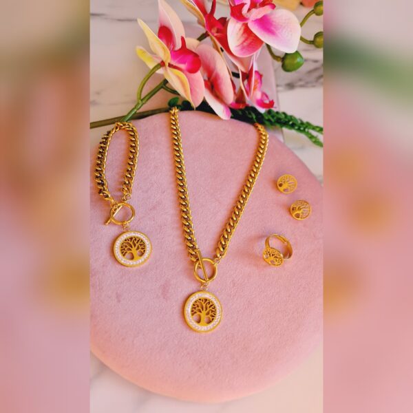 🌺Parure acier inoxydable🌺